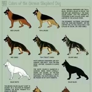 Meet your Posher, Jose